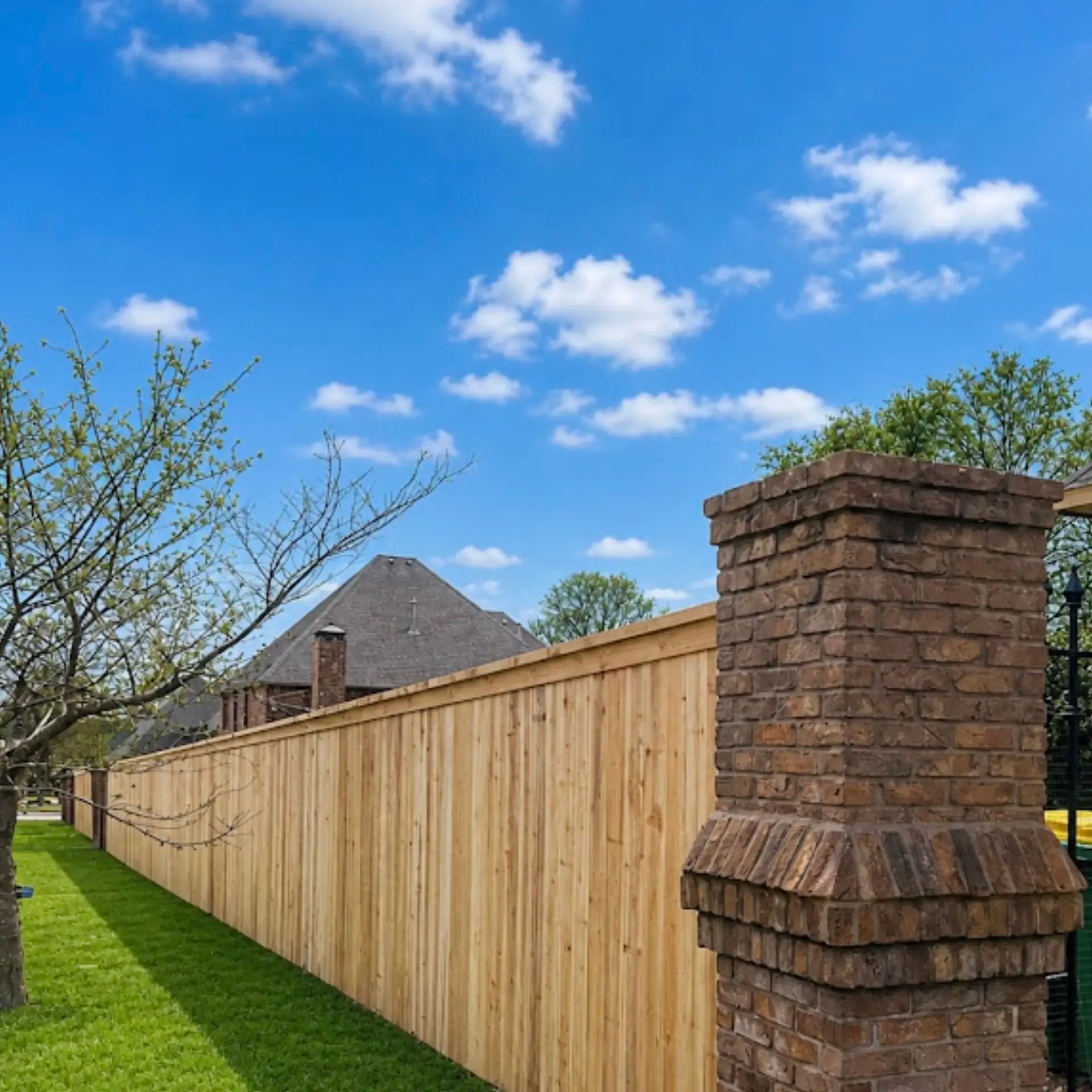 Privacy Fence