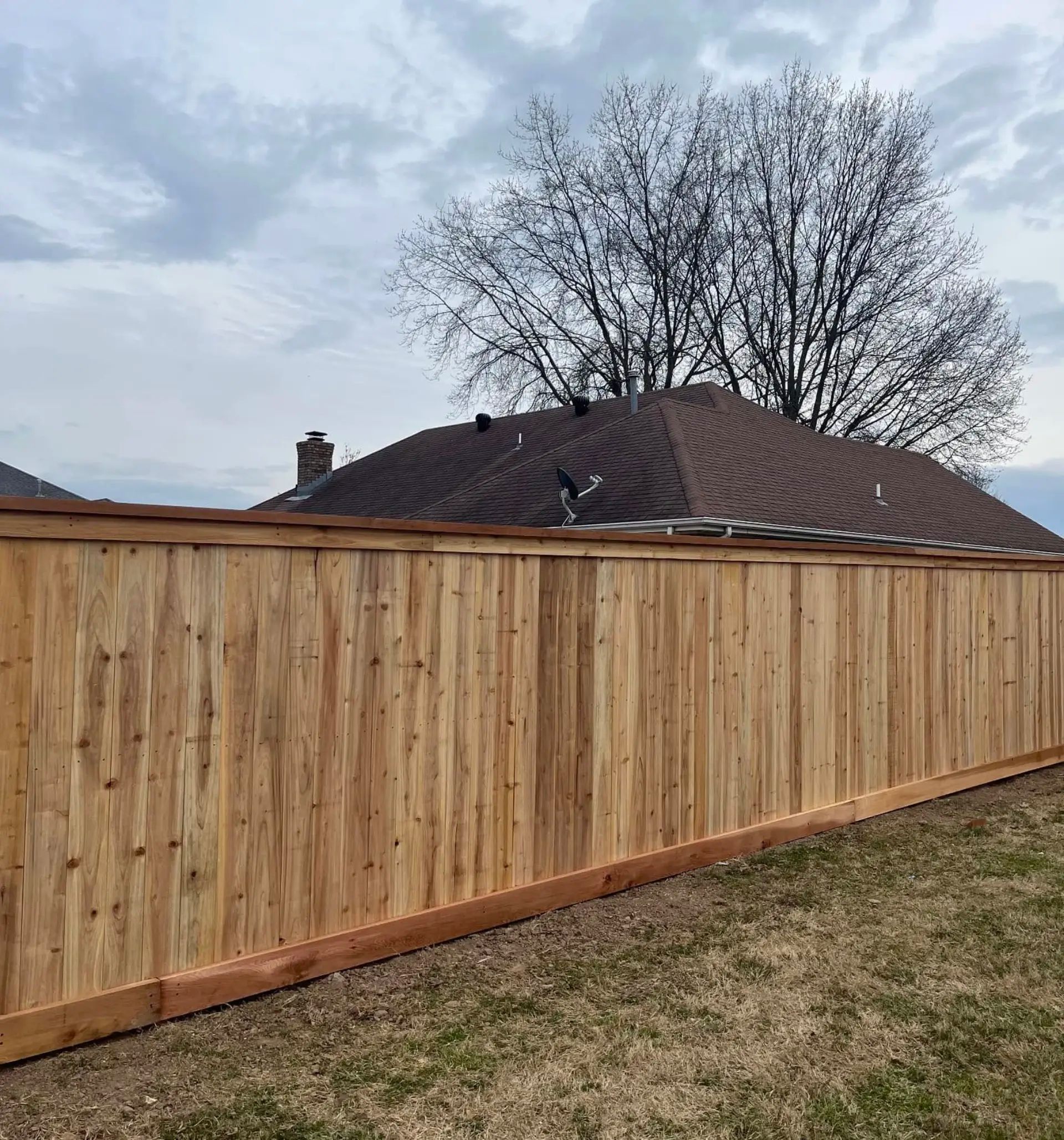 Privacy Fence