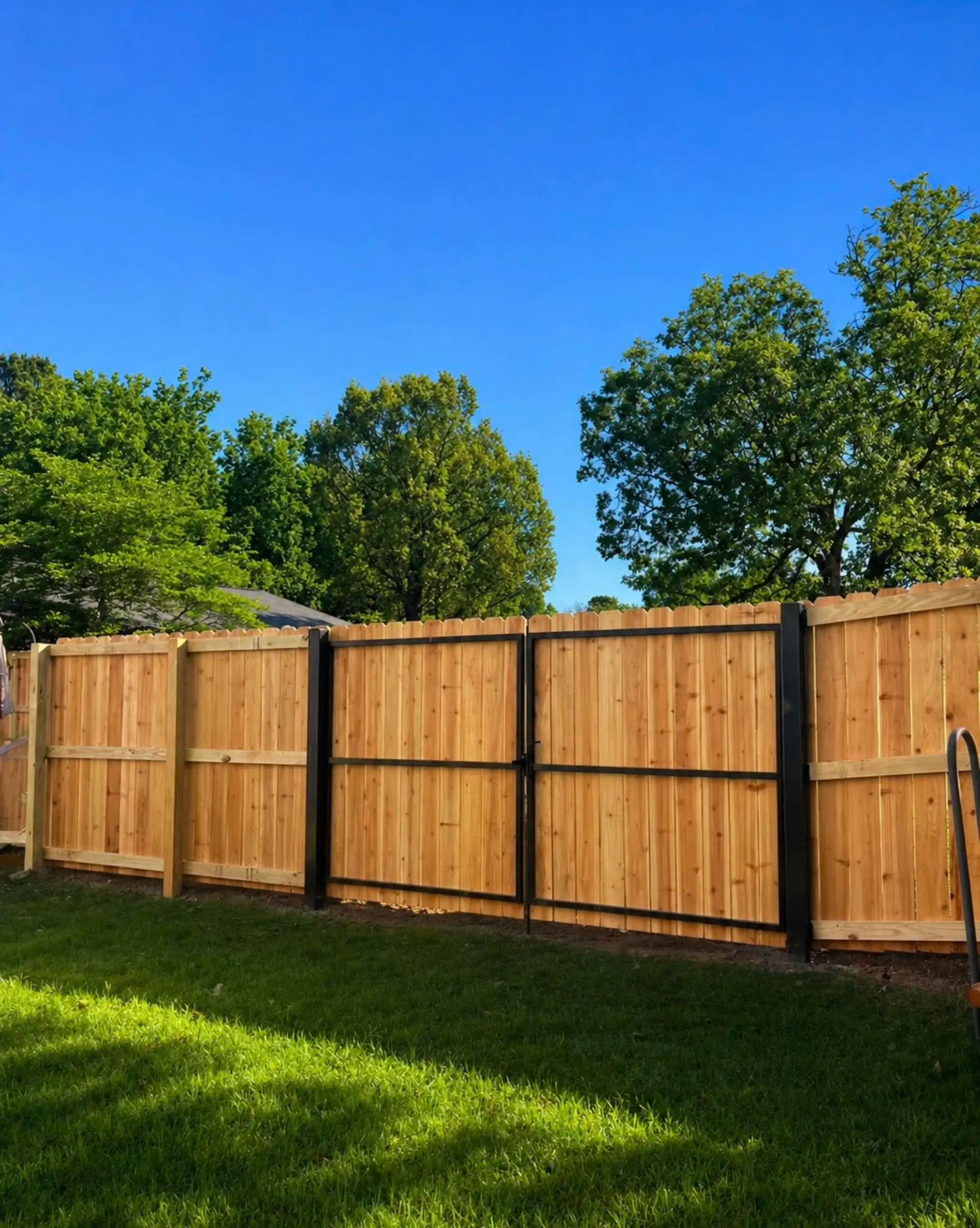 Privacy Fence