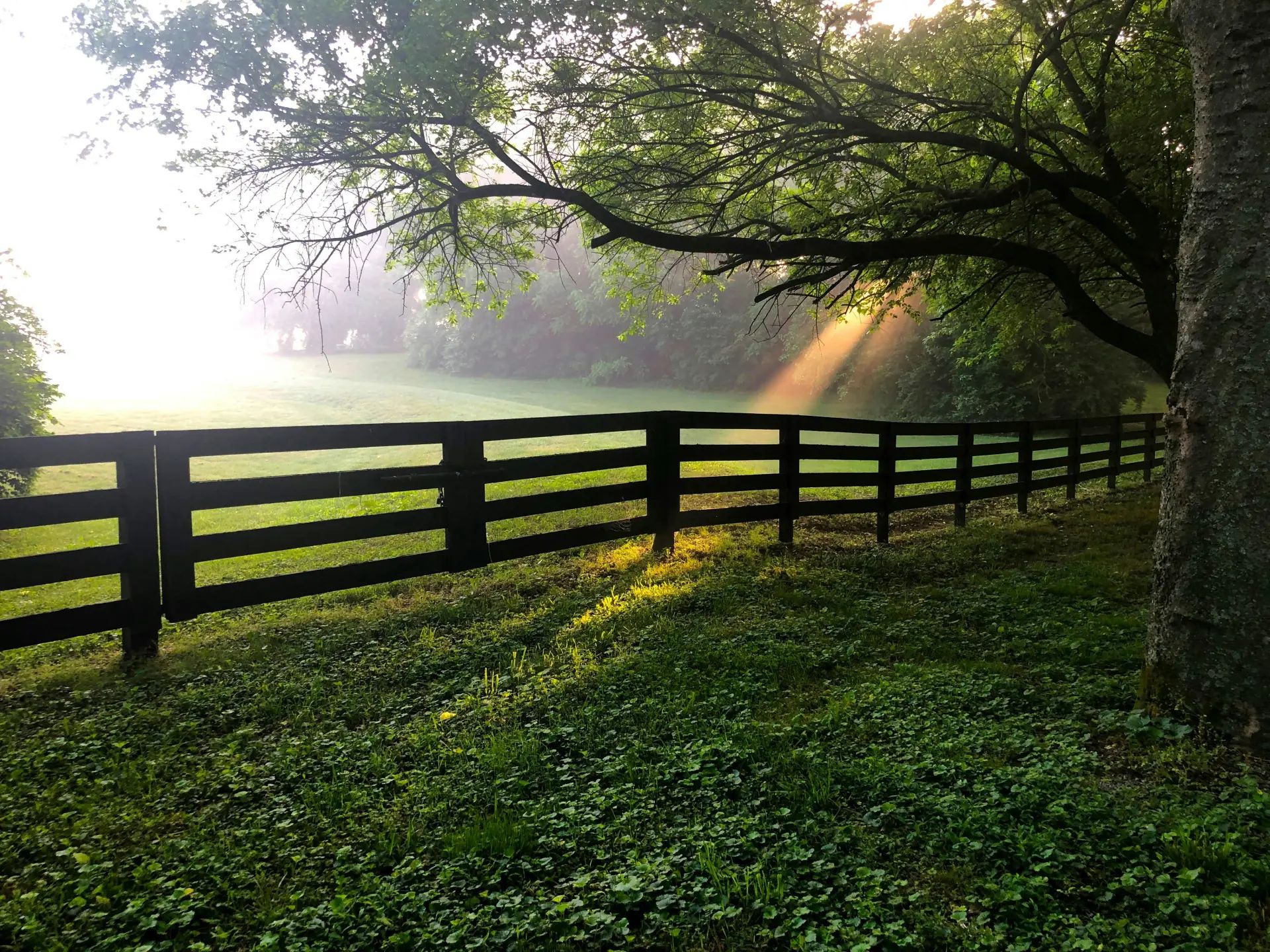 Split Rail Fence