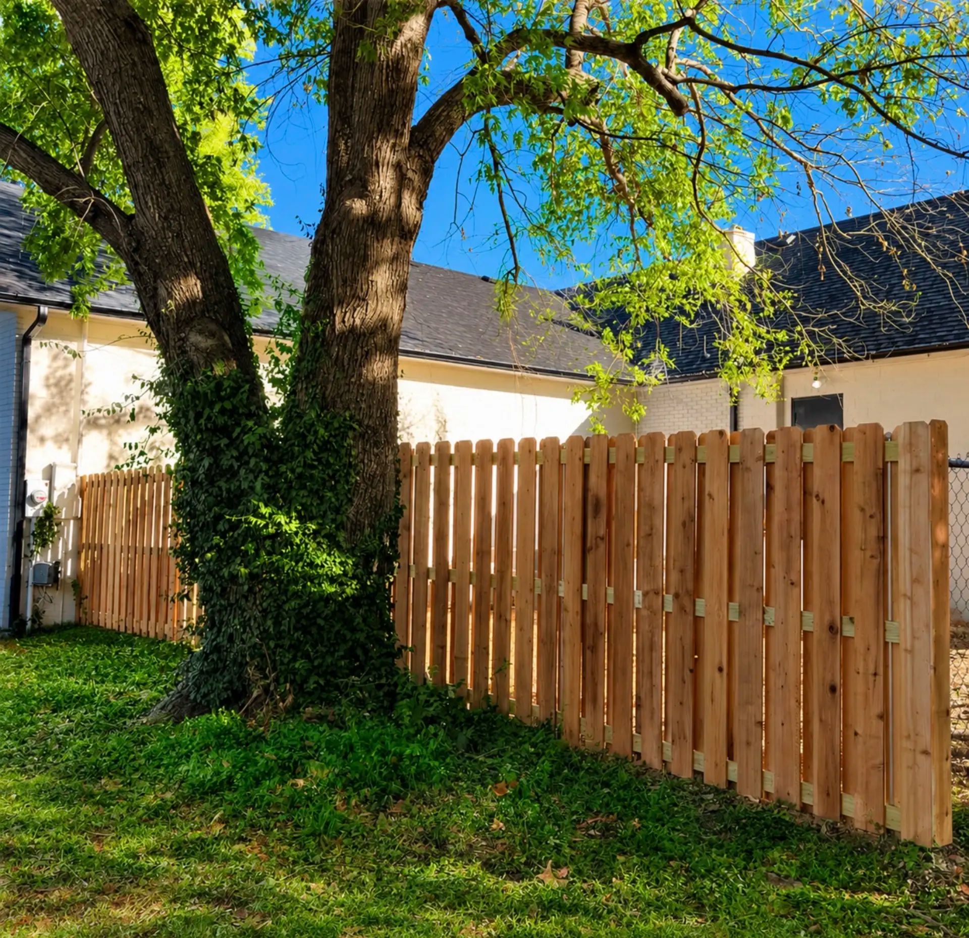 Shadowbox style cedar fence around an animal hospital, featuring an HVAC enclosure with a steel frame gate and tie-in to chain link fencing.