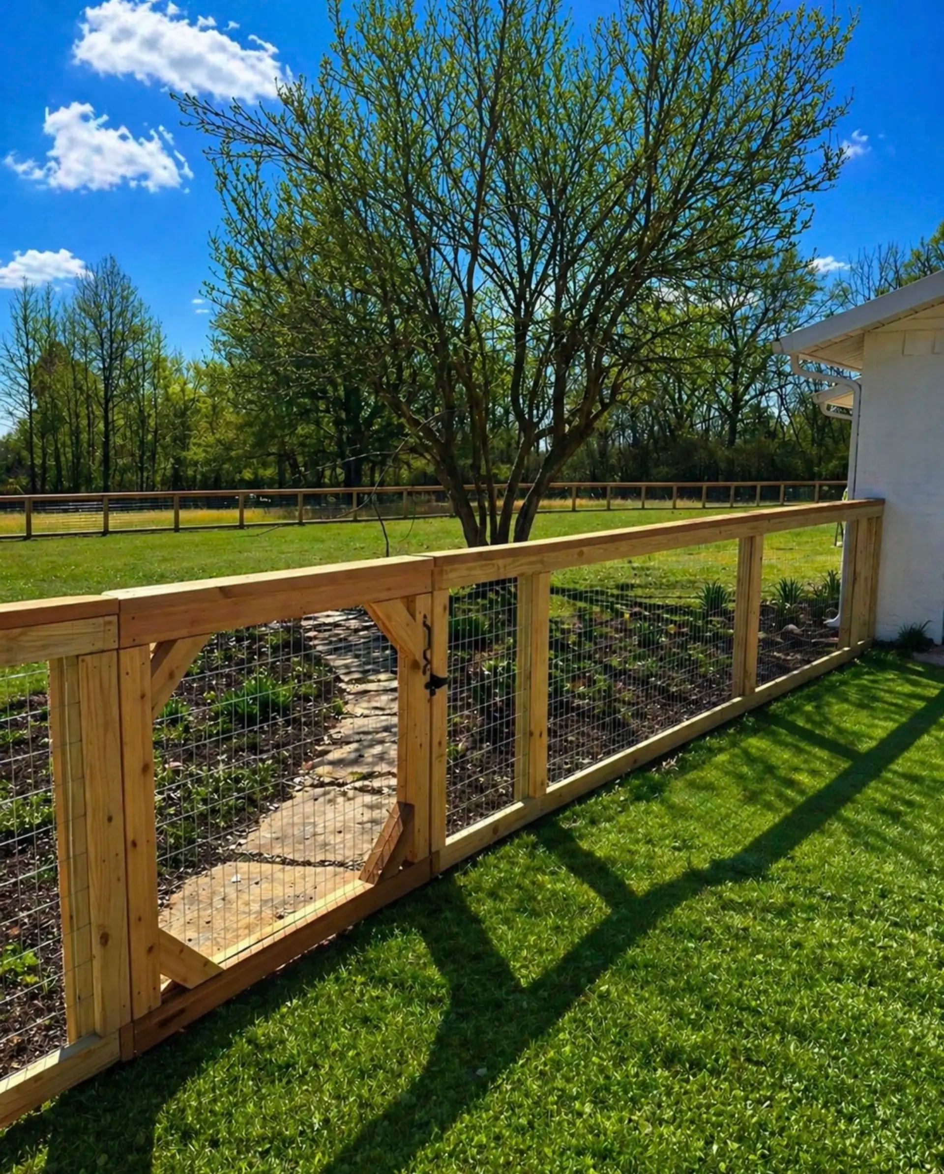 Gate photo