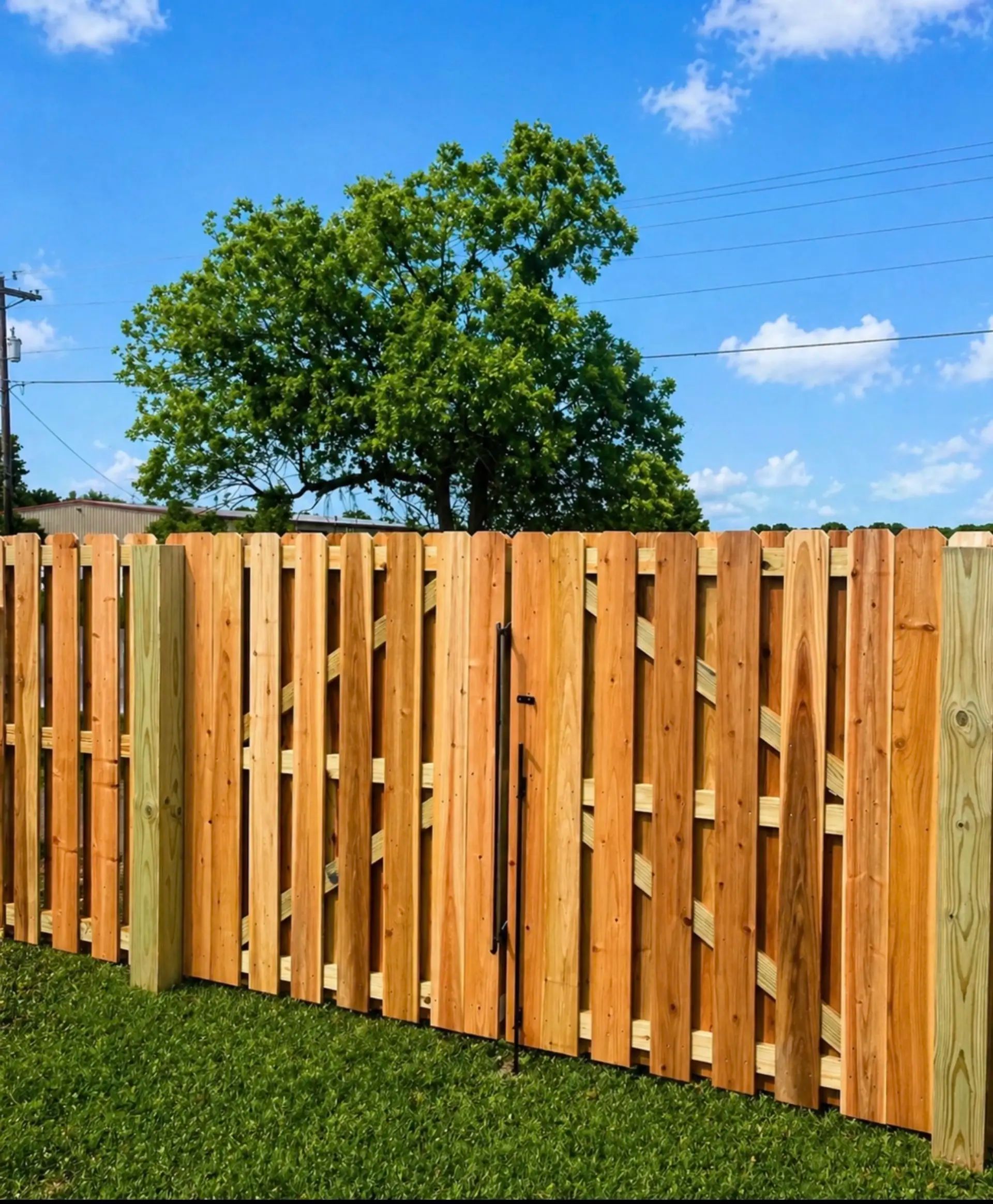 Gate photo
